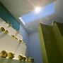 Image result for Sunlight Baby