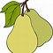 Image result for Pear Shape Sketch