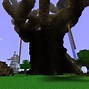 Image result for Giant Tree Base Minecraft