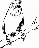 Image result for Bird On Branch Graphic