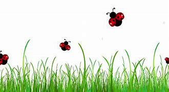 Image result for Ladybug Border Clip Art