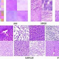 Image result for Signals Generative Adversarial Network