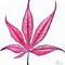 Image result for Maple Leaf Coloring