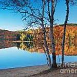 Image result for Fall Nature Clip Art