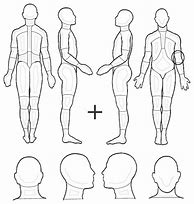 Image result for Human Body Diagram Outline Pain