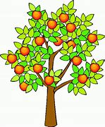 Image result for Orange Tree Clip Art