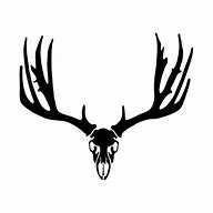 Image result for Mule Deer Skull Clip Art