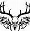 Image result for Deer Skull Side View Clip Art