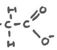 Image result for Carboxylic Acid Hydrolysis