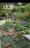 Image result for Garden Vegetable Greenscreen