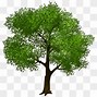 Image result for Weeping Willow Clip Art