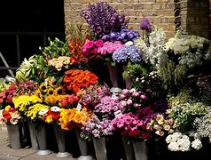 Image result for Grocery Store Bright Flowers