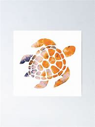 Image result for Turtle Stickers for Cars