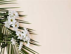 Image result for Beige Flower Background