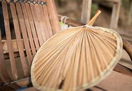 Image result for Single Stalk Chinese Fan Palm