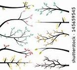 Image result for Maple Tree Branch Vector