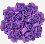 Image result for White Rose Clip Art Black Background