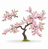 Image result for Cherry Blossom Tree Branches