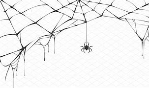 Image result for Spider Web Patterns in Artwork