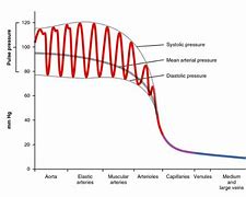 Image result for Bond Price Interest Rate Relationship