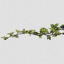 Image result for Tree Branch Holding Up Air Condenser