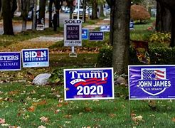 Image result for Political Campaign Yard Signs