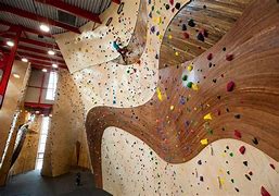 Image result for Gym Wall Photos