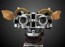 Image result for Artificial Intelligence Head Pictures in Round Shaps 4K