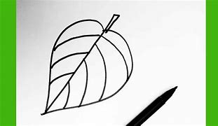 Image result for Leaf Drawing for Kids Coloring