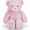 Image result for New Baby Teddy Bear