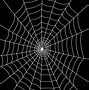 Image result for Spider Web Patterns in Artwork