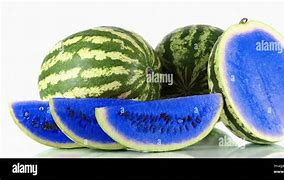 Image result for Watermelon Sketch