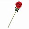 Image result for Pi Cof Long Stem Single Rose