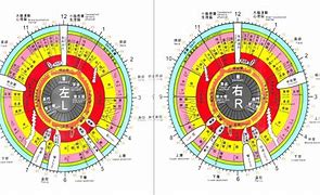 Image result for The Eye Iridology Reading Chart