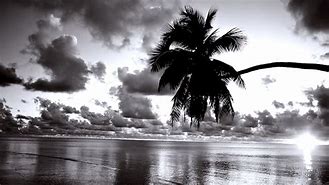 Image result for Black and White Beach Canvas