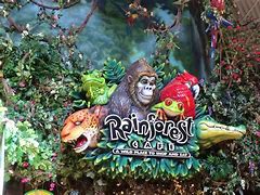 Image result for Rainforest Cafe Thewildbunch Toys