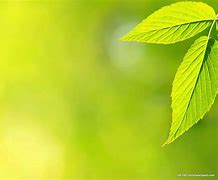 Image result for Free PowerPoint Templates Backgrounds Green Leaf