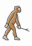 Image result for Homo Erectus Human