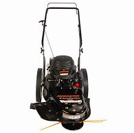 Image result for String Trimmer Lawn Mower