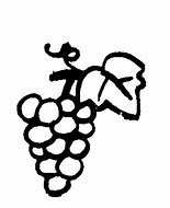 Image result for Grapes ClipArt Black and White