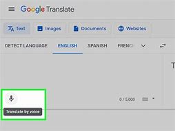 Image result for Translate Google.com Translate