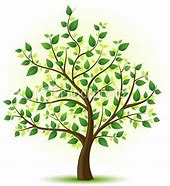 Image result for Green Tree Drawing