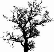 Image result for Pretty Tree Silhouette