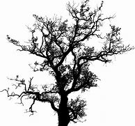 Image result for Tree Silhouette Wall Art