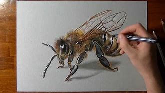 Image result for Basic Bee Drawing