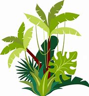 Image result for Jungle Leaf Pile