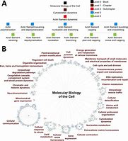 Image result for Hierarchy of Molecular Work