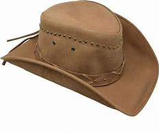 Image result for Bullhide Hat Banner