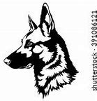 Image result for German Shepherd Types