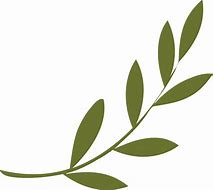 Image result for Olive Branch Transparent Background